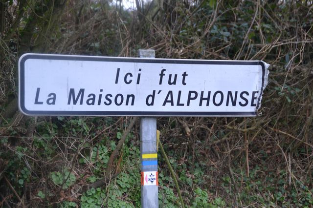 DSC_0645.JPG
