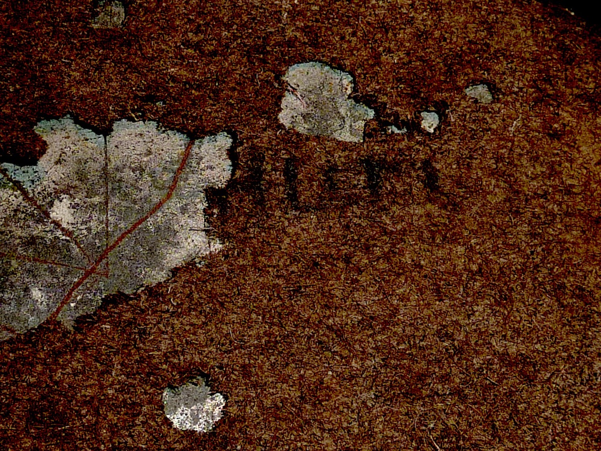P1040411.JPG