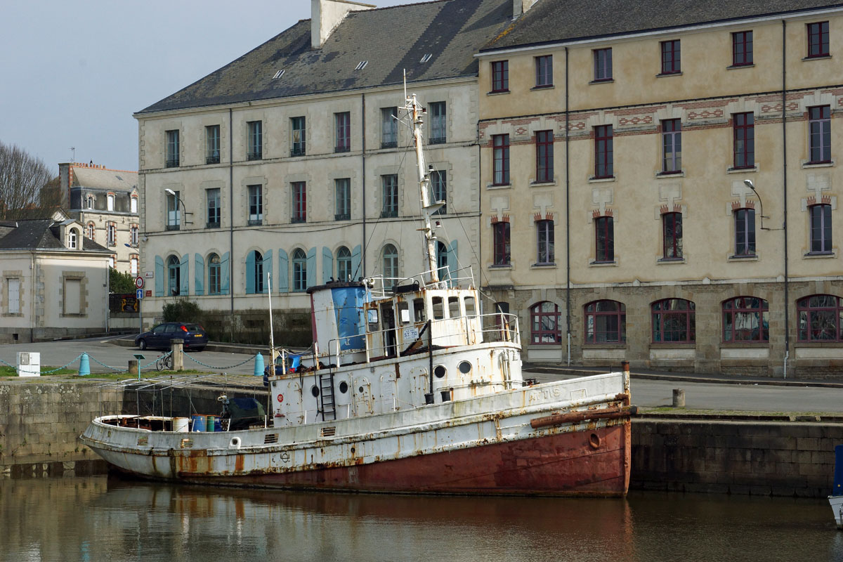 DSC00737-1.jpg