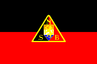 National_Socialist_Movement_in_the_Netherlands_logo.png