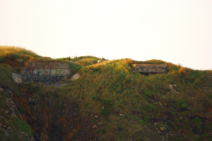 IMG_4386_1.jpg
