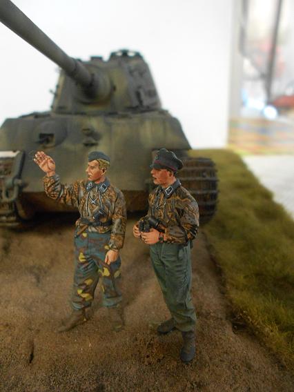 tiger 7.jpg