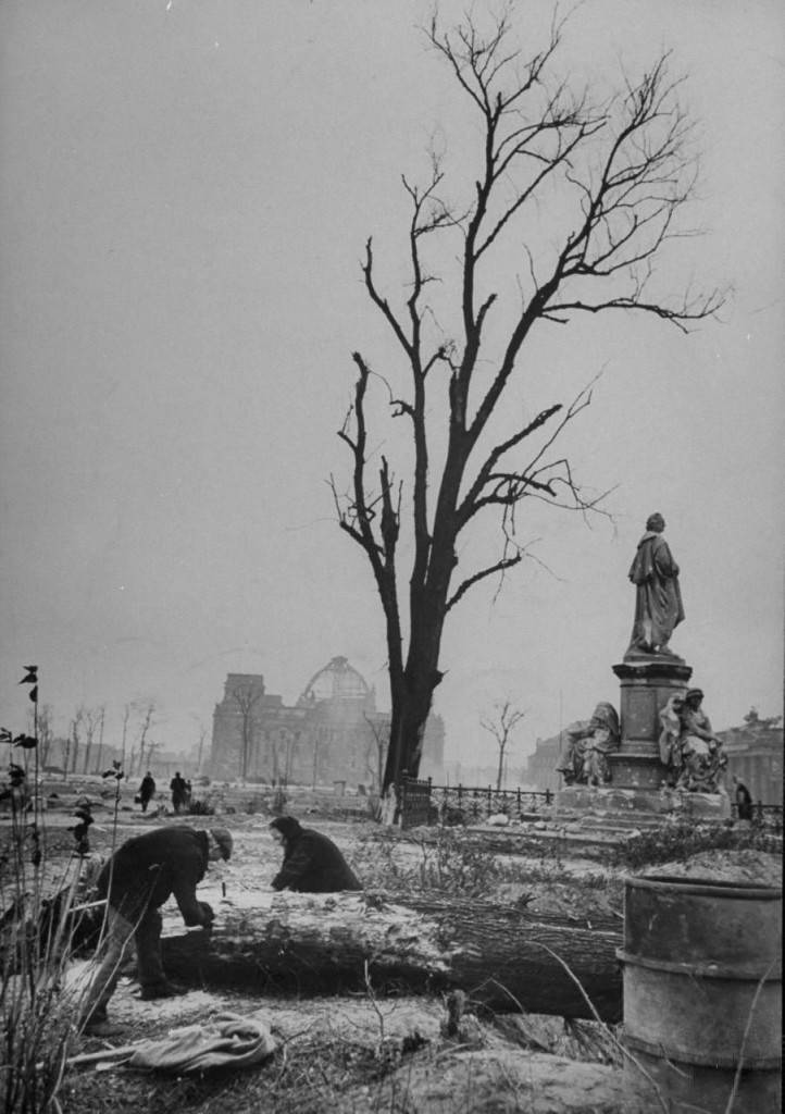 Berlin_1945_Tiergarten_1x1.fi_22ec0cb9975558a638c9d3f51450b2b1_722_1024.jpg