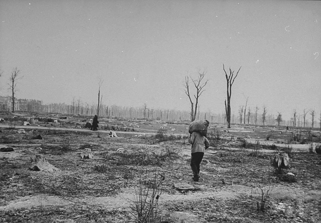 Berlin_1945_Tiergarten_1x1.fi_87970142faea5b36410e6c97d2dc557c_1280_889.jpg