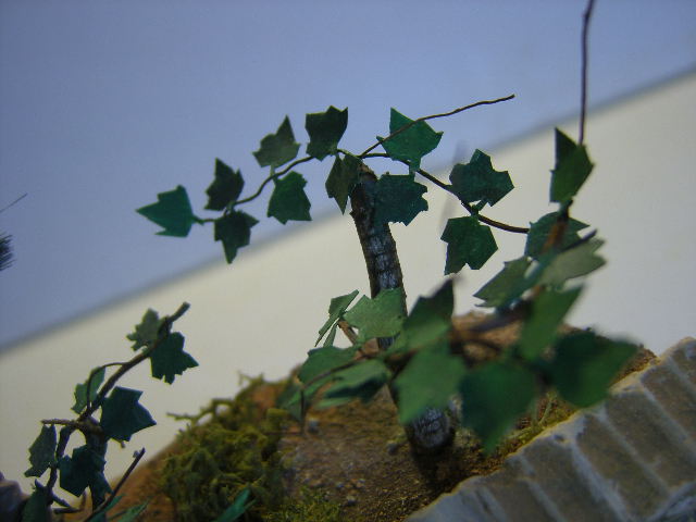 DCAM0006.JPG
