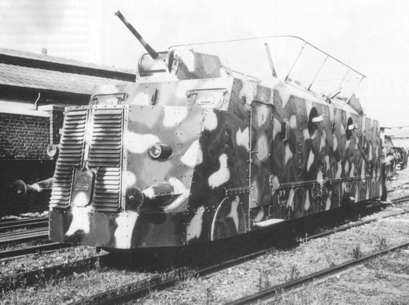 Littorina_blindata_Libli.JPG