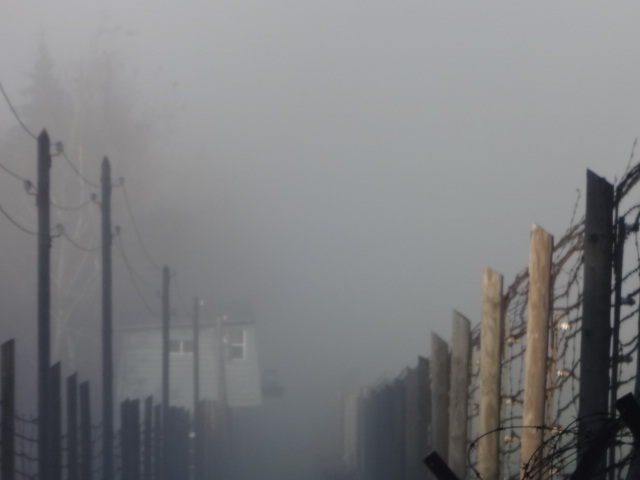 DSC01117.JPG