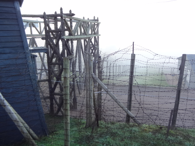 DSC01237.JPG