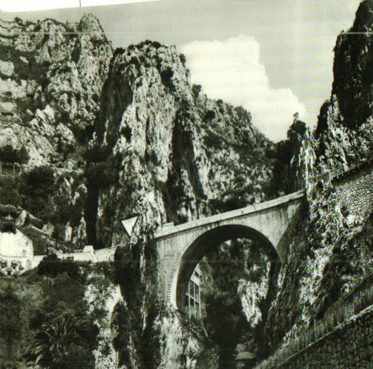 Pont Saint-Louis.jpg