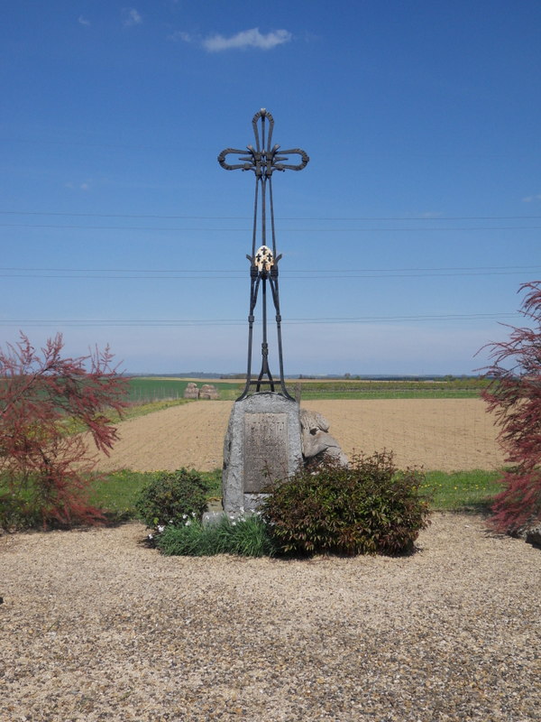 SDC11261.JPG
