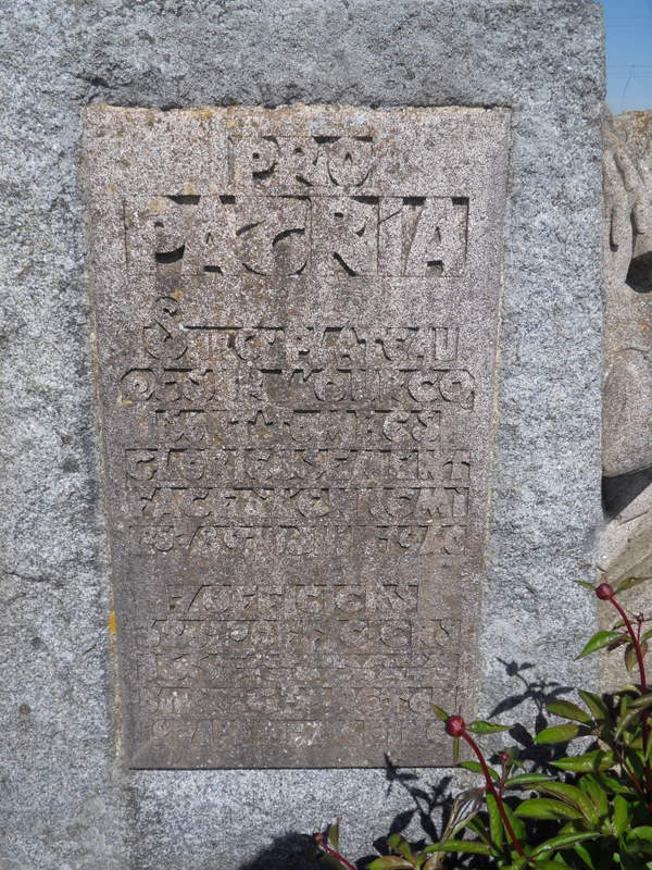 SDC11262.JPG