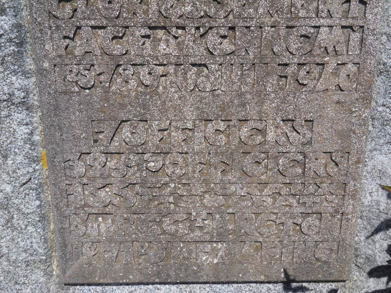 SDC11264.JPG