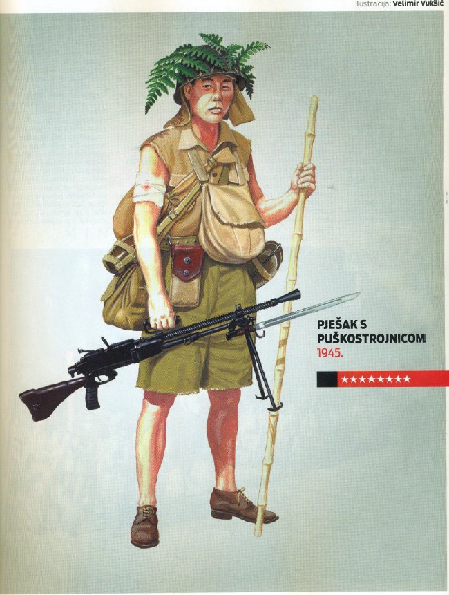 japon jungle.jpg
