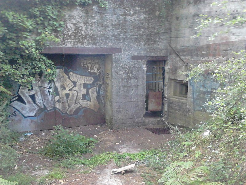DSC_0178_converted.jpg
