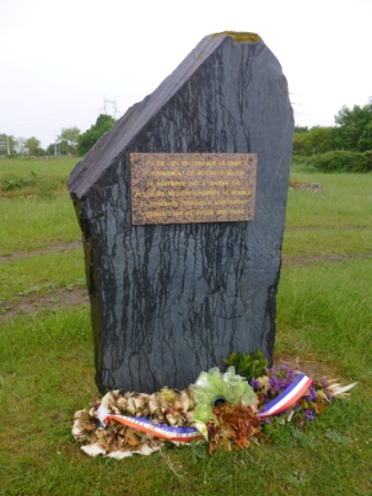 P1020016.JPG