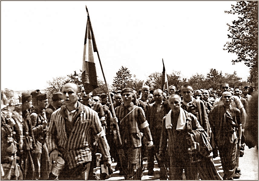 Loibl3.jpg