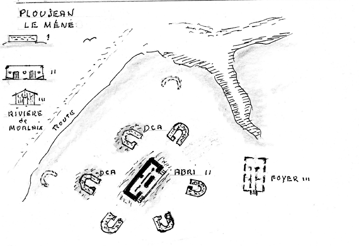 img818 (2)_1.jpg