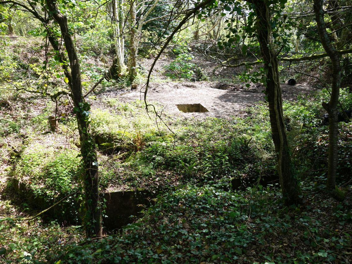 DSC01852_1.jpg