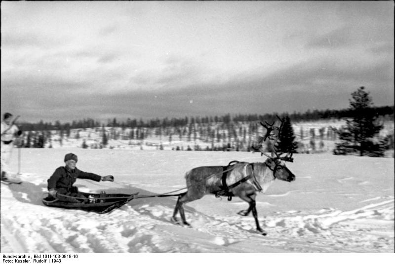 Bundesarchiv_Bild_101I-103-0919-16,_Nordeuropa,_Soldaten_in_Rentierschlitten.jpg