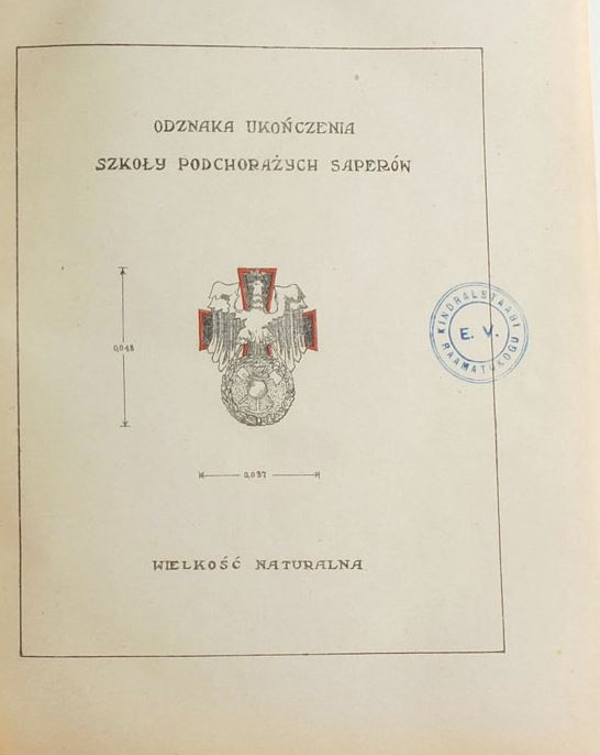 ecole pologne insigne.JPG