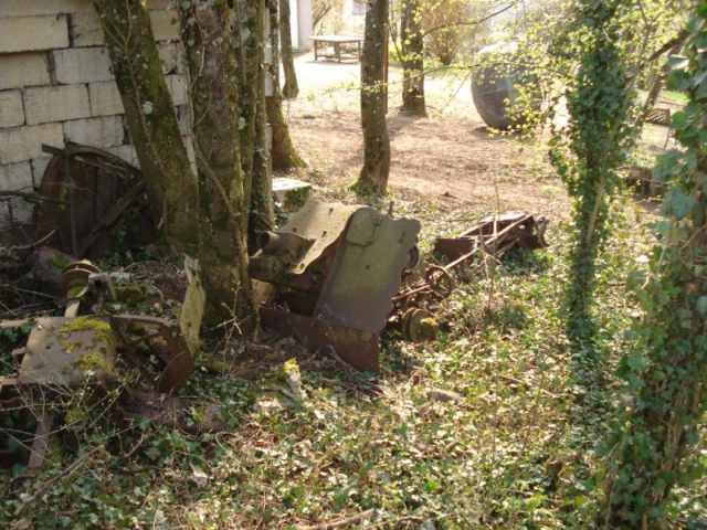 reduced canon (2).jpg