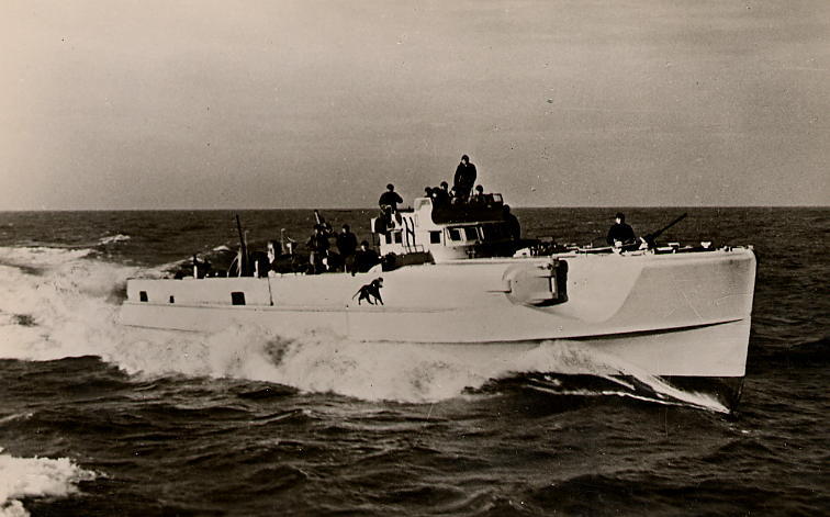 S64-panther-.jpg