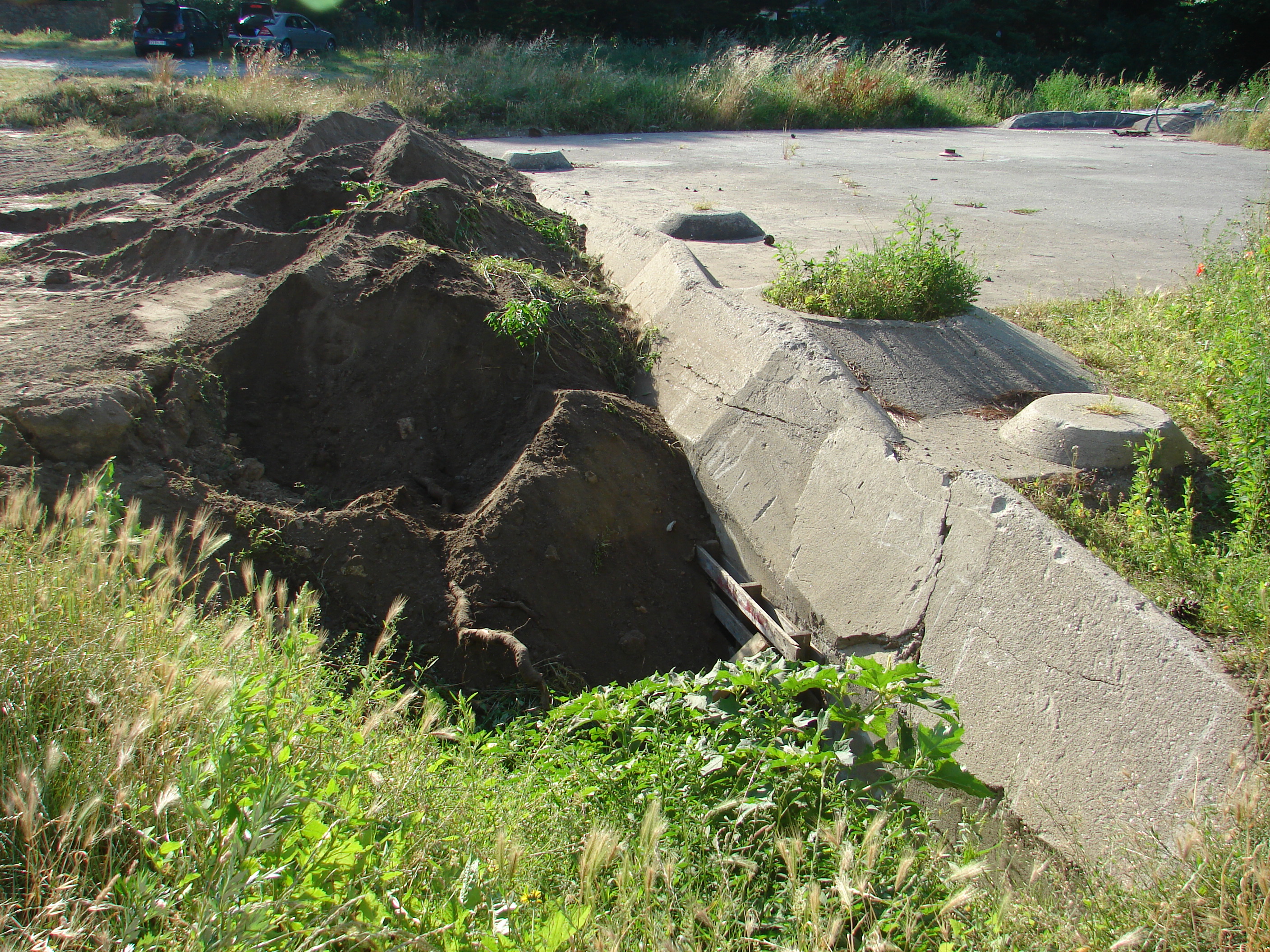 DSC00355.JPG