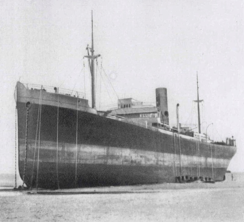 pavon210.jpg