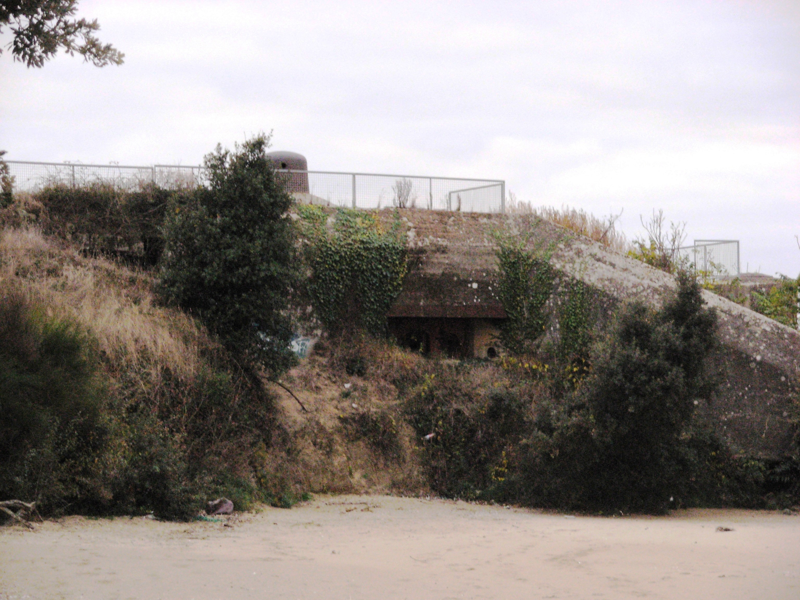DSCN0072.JPG