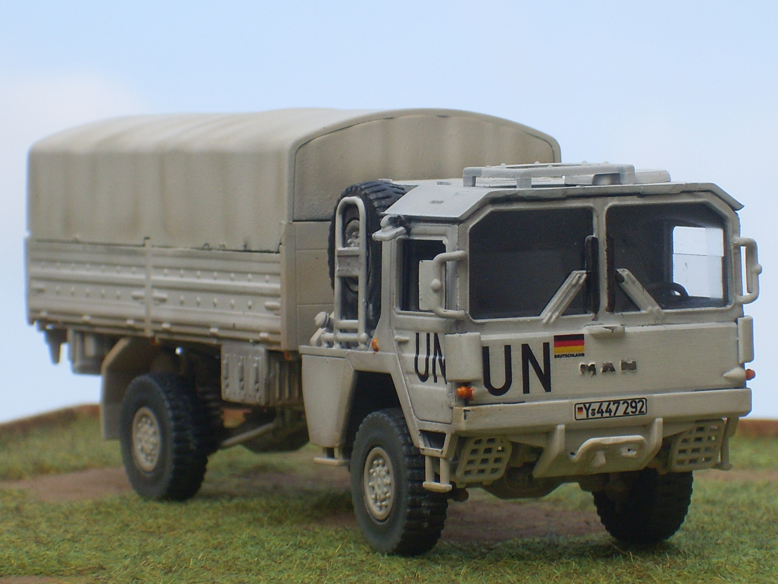 SL386224.JPG