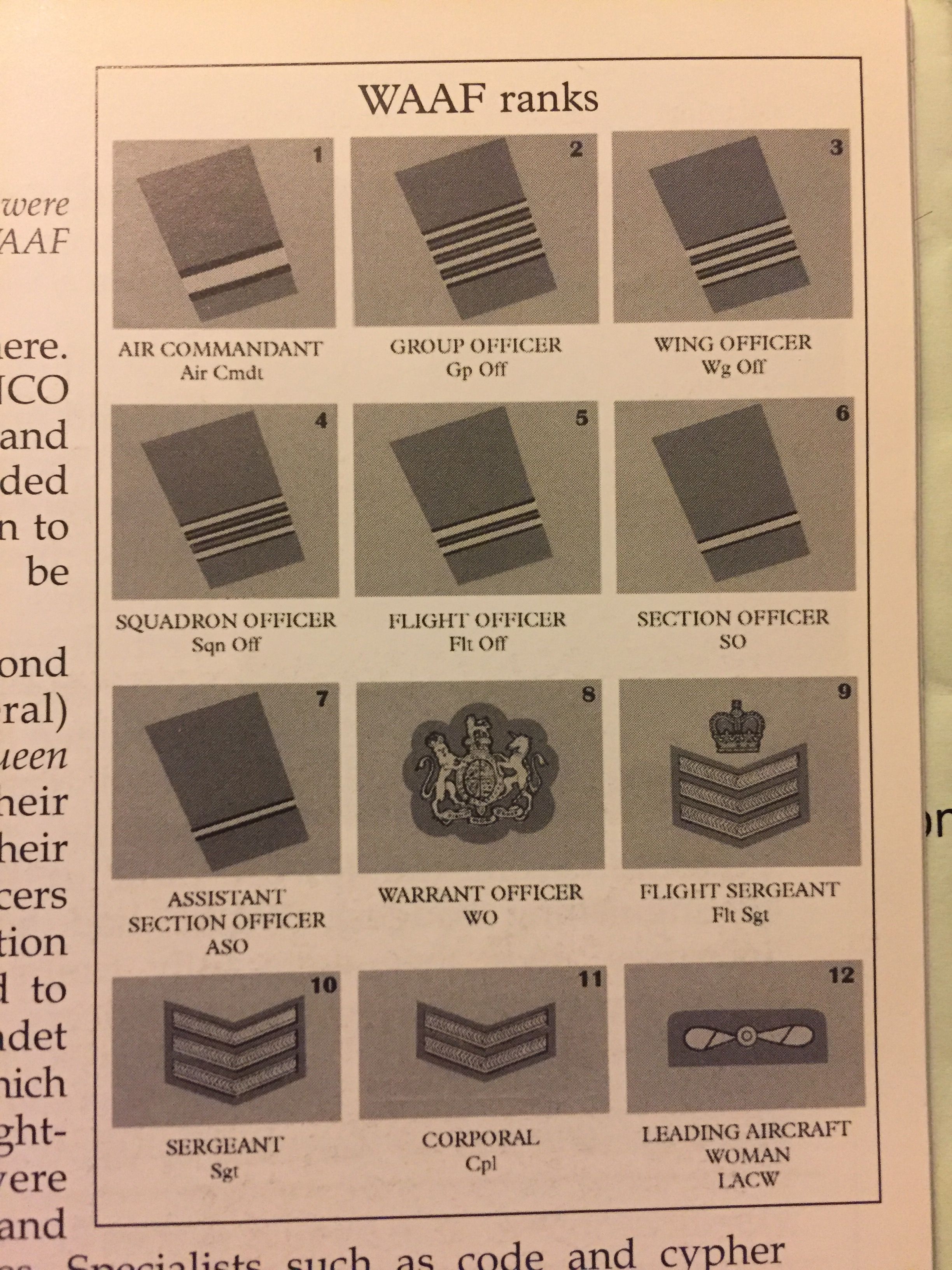 WAAF ranks.jpg