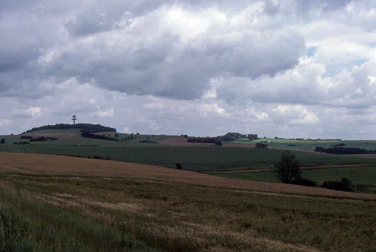 cdl001-3.jpg