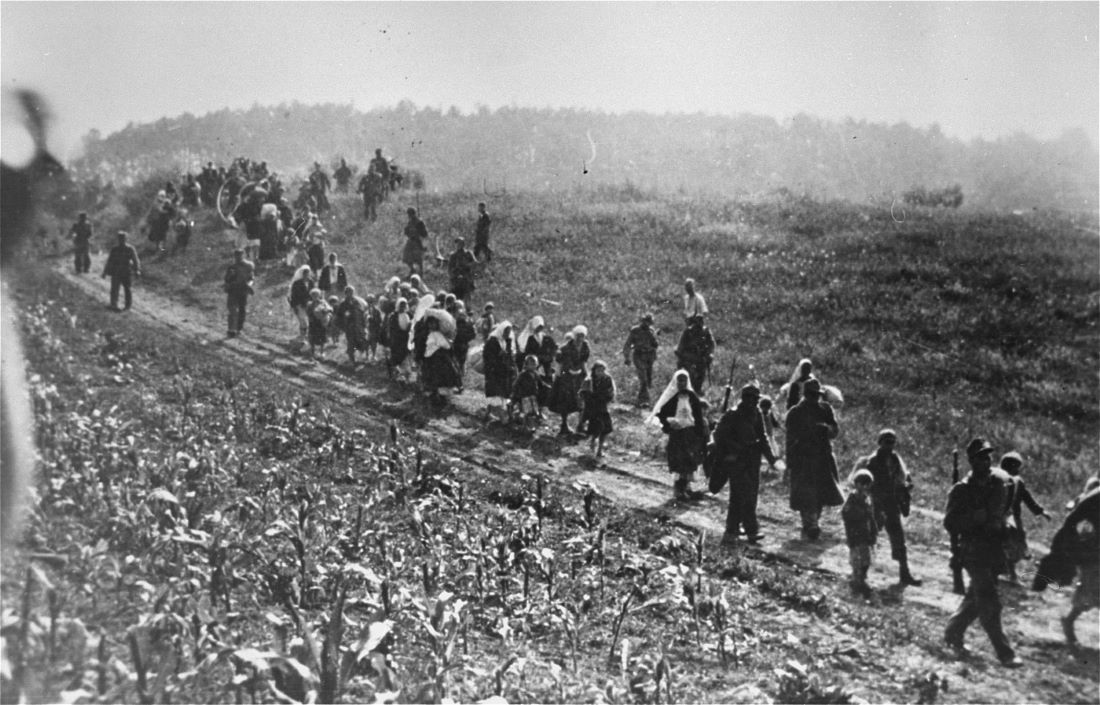 Une colonne de prisonniers serbes, conduits par les Allemands et les Oustachis vers le camp d'internement de Šabac durant une opération contre la résistance.jpg