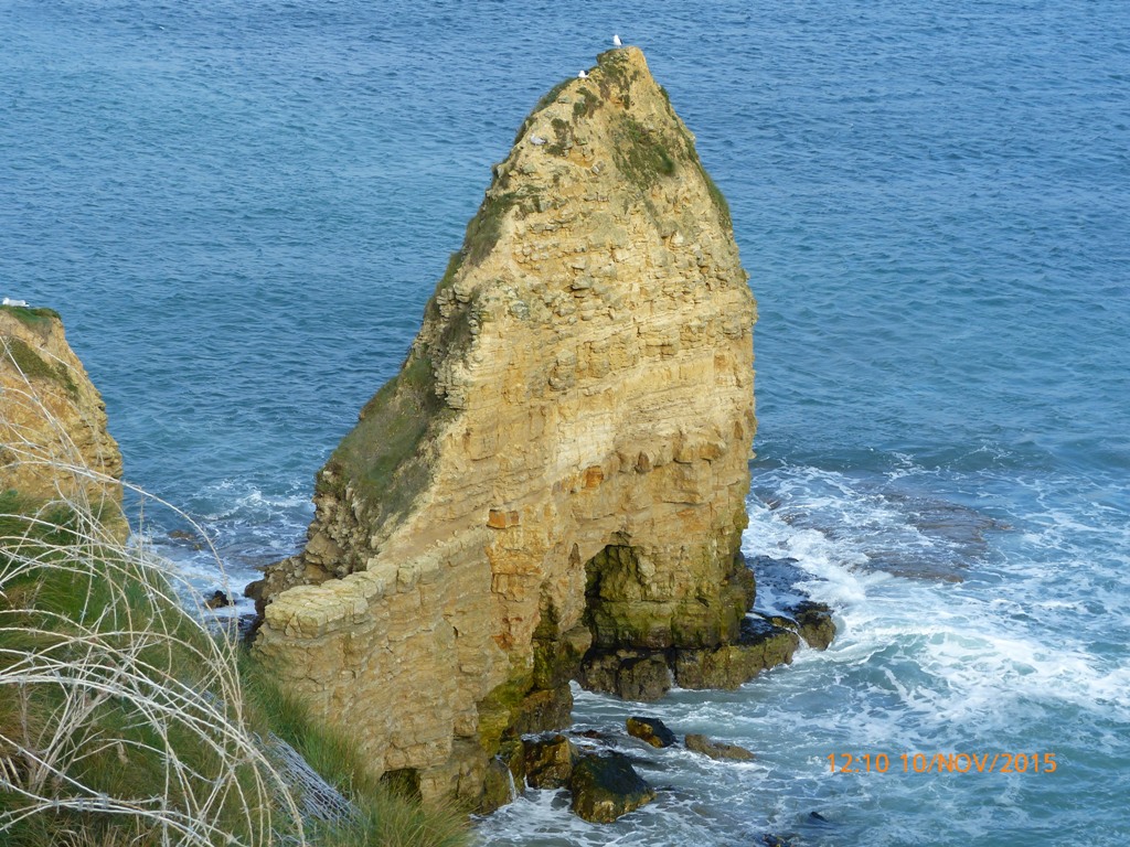 P1010239.JPG