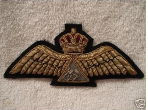iraqi pilot.jpg