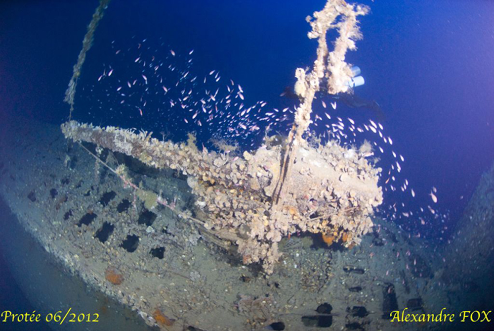 PROTEE 2012 6 _canon.jpg