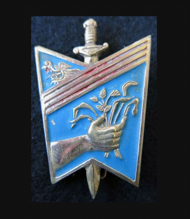mission militaire franco.gif
