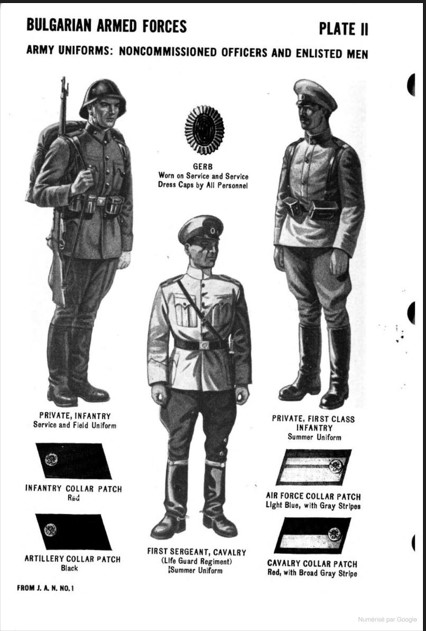 handbook 2.jpg