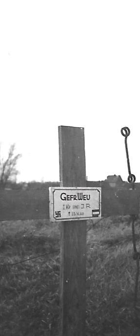 vignette 6.jpg