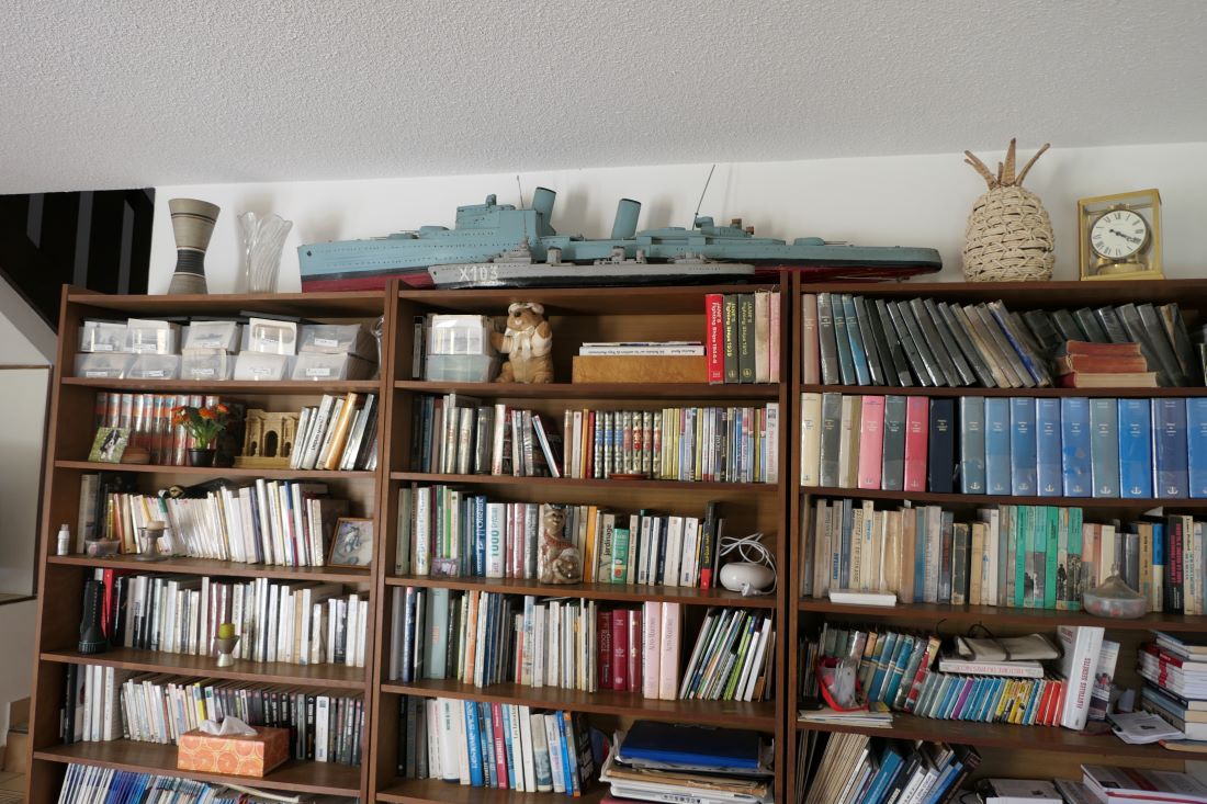 maquettes et bibliotheque.JPG