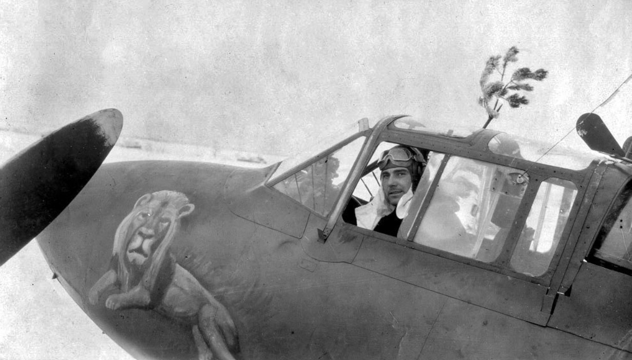 punev pe-2.jpg