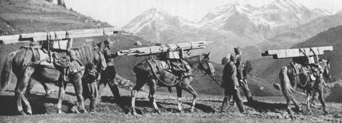 troupe-train-CH-21d.jpg