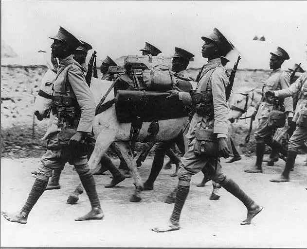 mule ethiopie.jpg