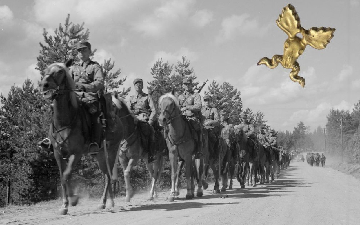 fin cav 2.jpg