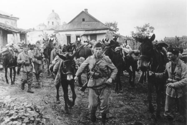 Bundesarchiv_Bild_183-B27180,_Russland,_italienische_Soldaten_mit_Mauleseln.jpg
