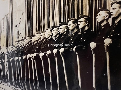 VRIJWILLIGE-ARBEIDSDIENST-VOOR-VLAANDEREN.jpg