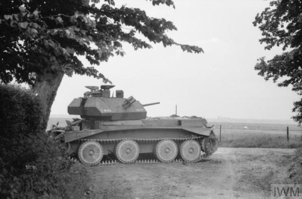 default (1) Cruiser.jpg