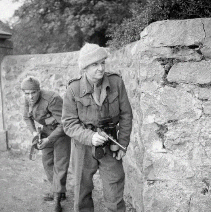 co training.gif