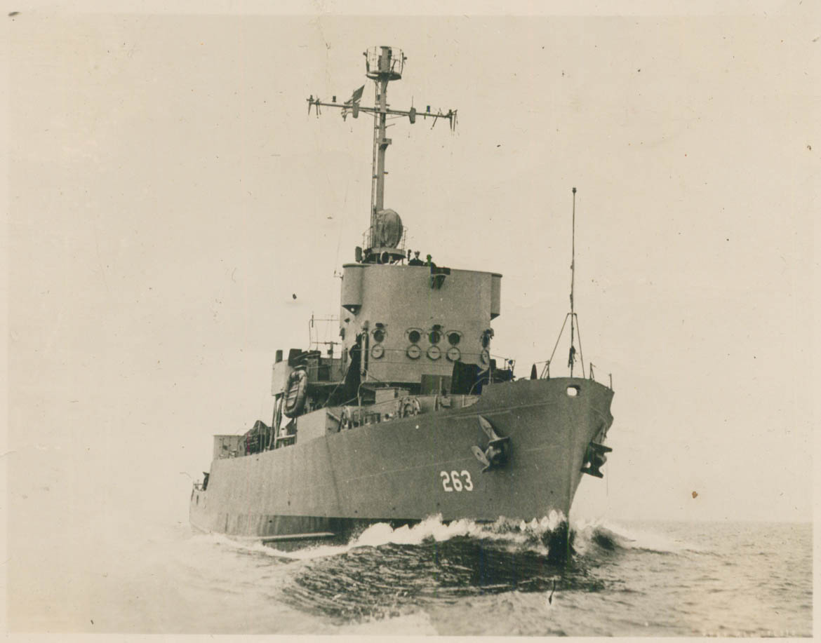 T275 ex AM263 MEASURE.jpg