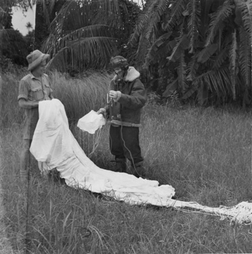 Parachute NZ.jpg
